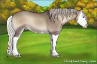 Horse Color:Silver Grullo Onyx Splash 