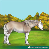 Horse Color:Silver Grullo Onyx Splash