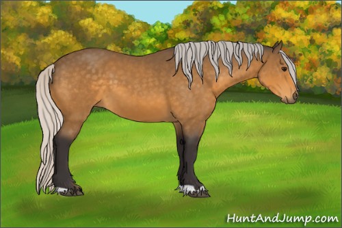 Horse Color:Silver Buckskin 
