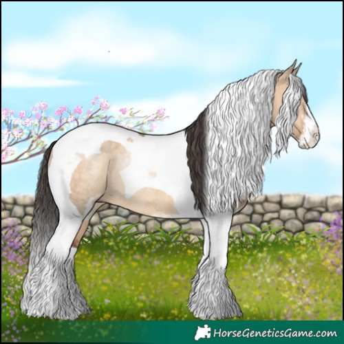 Horse Color:Bay Dun Sabino Tobiano Rabicano 