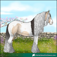 Horse Color:Bay Dun Sabino Tobiano Rabicano 