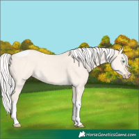 Horse Color:Silver Perlino Dun Tobiano