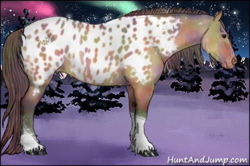 Horse Color:Nacre Bay Dun Tobiano Appaloosa Rabicano 