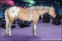 Horse Color:Silver Brown Ice Dun Sabino Tobiano Appaloosa Rabicano 
