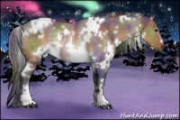 Horse Color:Nacre White Spotted Brown Dun Rabicano