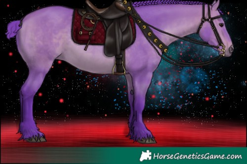 Horse Color:Watercolor Bay 