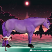 Horse Color:Watercolor Bay 