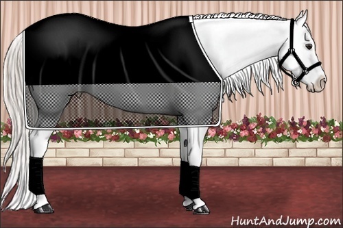 Horse Color:Silver Brown Varnish