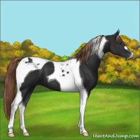 Horse Color:Gray Liver Chestnut Tobiano