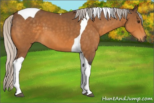 Horse Color:Silver Buckskin Tobiano 