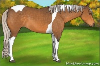 Horse Color:Silver Buckskin Tobiano 
