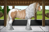 Horse Color:Chestnut Tobiano Blanket Rabicano 