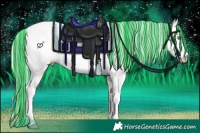 Horse Color:Painted White Spotted Silver Amber Champagne 