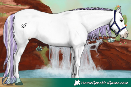 Horse Color:Painted White Spotted Silver Brown Appaloosa 