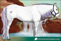 Horse Color:Painted White Spotted Silver Brown Appaloosa 