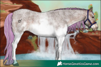 Horse Color:Painted White Spotted Silver Brown Roan Frame