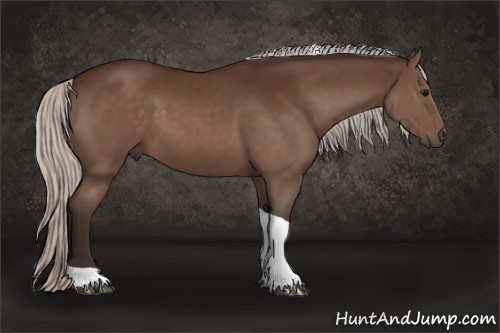 Horse Color:Silver Brown Sabino Tobiano 