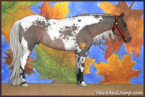 Horse Color:Liver Red Roan Mushroom Tobiano Rabicano 