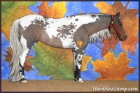 Horse Color:Liver Red Roan Mushroom Tobiano Rabicano