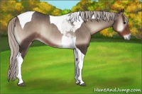 Horse Color:Silver Blue Onyx Tobiano Rabicano 