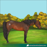 Horse Color:Brown 