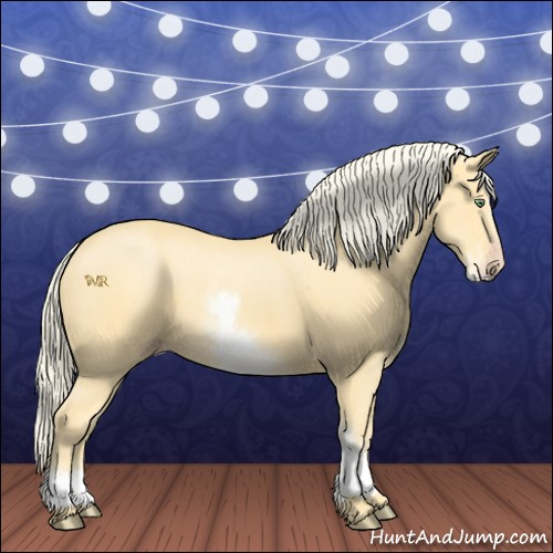 Horse Color:White Spotted Gold Cream Champagne 