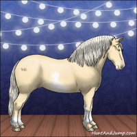 Horse Color:White Spotted Gold Cream Champagne