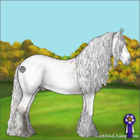 Horse Color:Gray White Spotted Silver Sable Champagne Ice Near Leopard Rabicano 