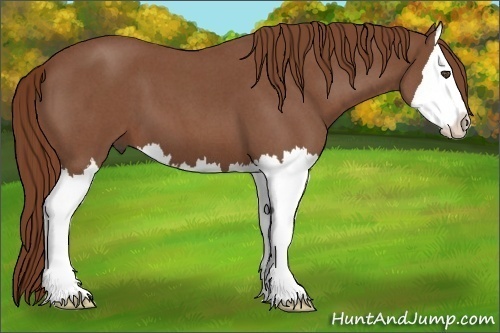 Horse Color:Red Roan Sabino Splash