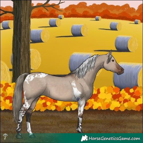 Horse Color:Liver Red Dun Mushroom Tobiano 