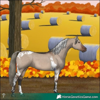 Horse Color:Liver Red Dun Mushroom Tobiano 