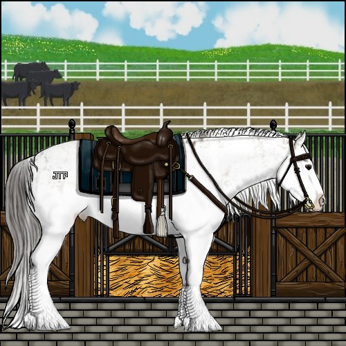 Horse Color:Smoky Grullo Sabino Splash  and Smoky Grullo Sabino Splash 