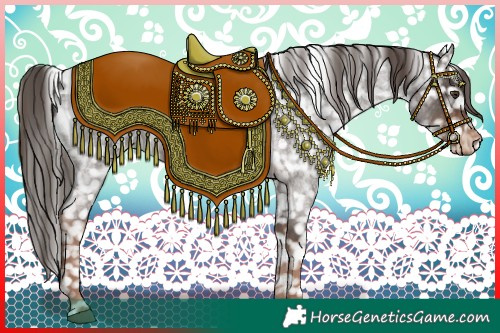 Horse Color:Liver Red Roan Appaloosa 