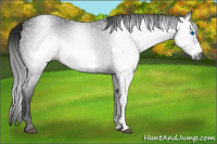 Horse Color:Gray Black Frame 