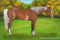 Horse Color:White Spotted Silver Bay Splash 