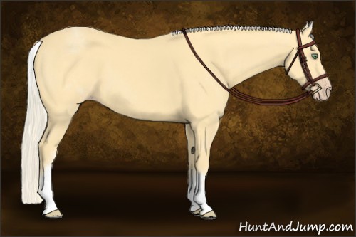 Horse Color:White Spotted Gold Cream Champagne 