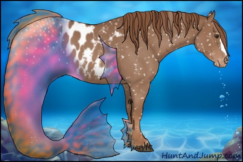 Horse Color:Red Roan Appaloosa 
