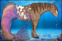 Horse Color:Red Roan Appaloosa 