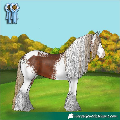 Horse Color:White Spotted Liver Chestnut Tobiano 