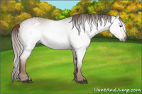 Horse Color:Gray Red Dun Roan Snowflake Varnish 