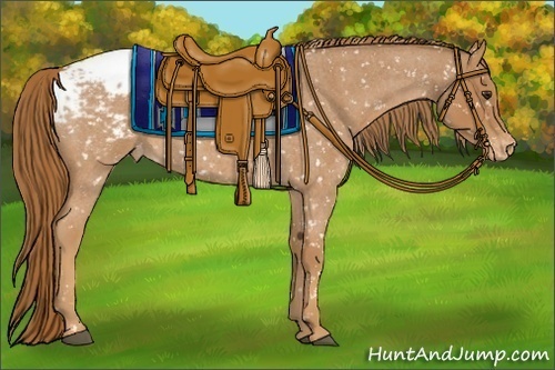 Horse Color:Red Roan Snowflake Varnish