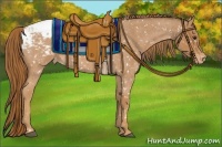 Horse Color:Red Roan Snowflake Varnish