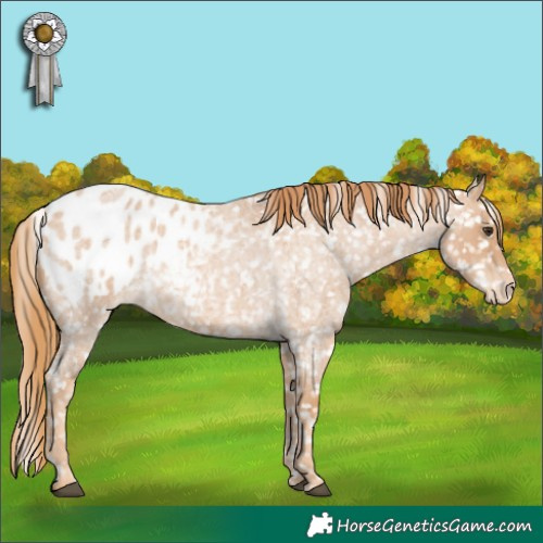 Horse Color:Red Roan Blanket 