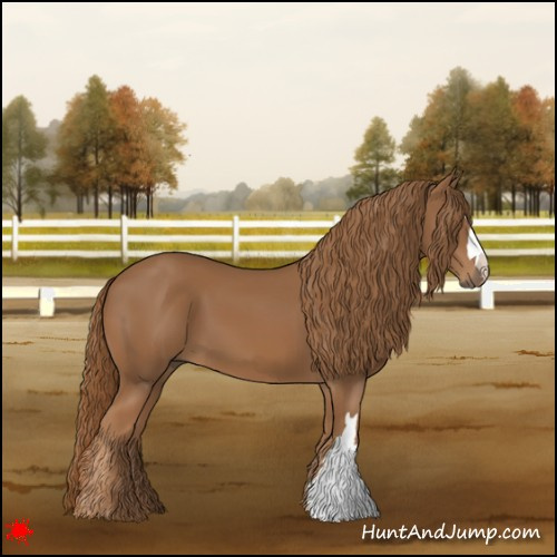 Horse Color:Chestnut 