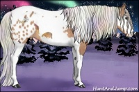 Horse Color:Silver Brown Dun Tobiano Appaloosa  and Nacre Silver Smoky Black Splash Tobiano 