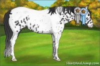 Horse Color:Black Tobiano Near Leopard Rabicano 