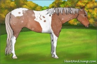 Horse Color:Silver Brown Tobiano 