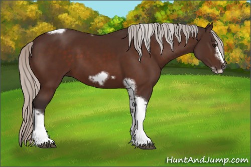 Horse Color:Silver Bay Tobiano Frame