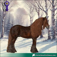 Horse Color:Chestnut Ice Rabicano