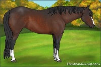 Horse Color:Brown 
